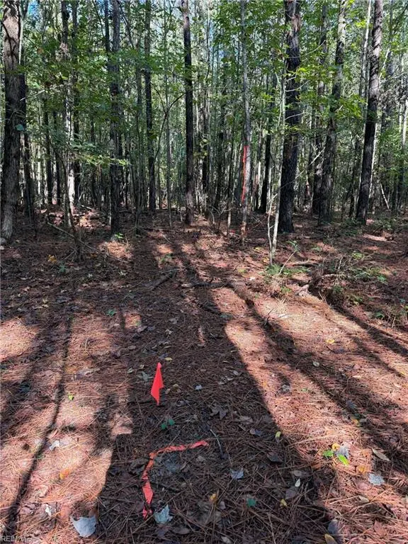 Parcel Dripping Springs Road, Dendron, VA 23839 - #2