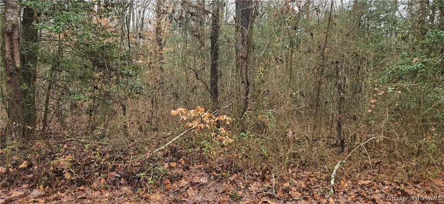 0 Travellers Road, Shacklefords, VA 23156 - Image #2