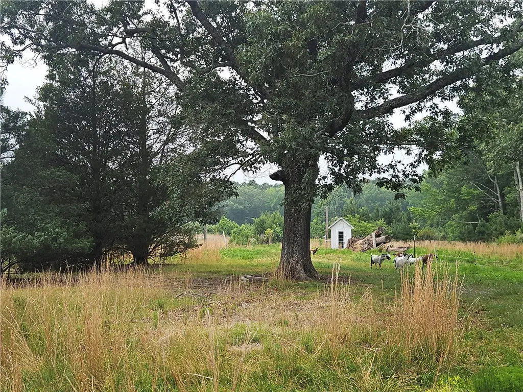 3066 Bethel Beach Road, Onemo, VA 23130 - Image #1