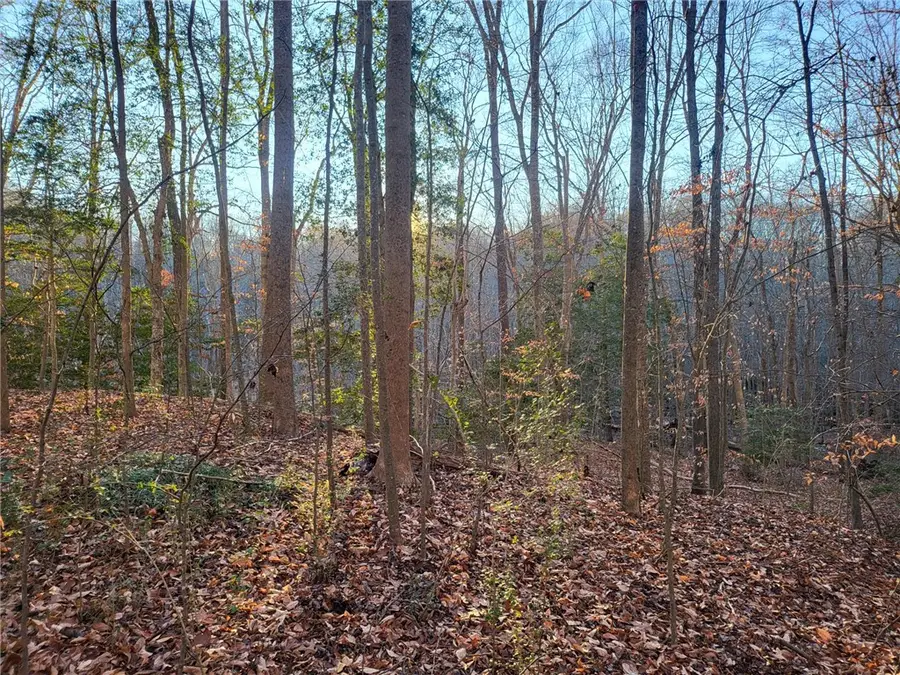 Lot 18 Beech Tree Court, Gloucester, VA 23061 - Image #3