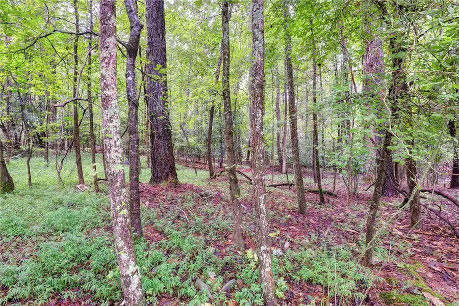 200 Jolly Pond Road, Williamsburg, VA 23188-7321 - Image #2