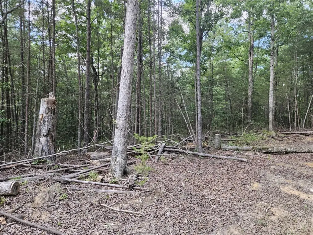 10055 Old Stage Road, Toano, VA 23168 - Image #1