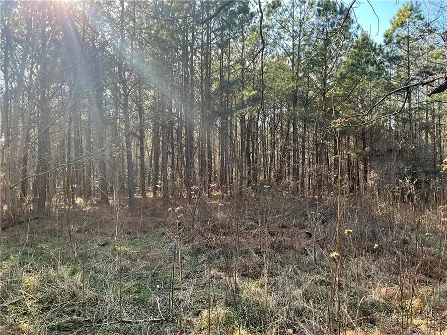 17.4 AC Salem Wood Road, Gloucester, VA 23061 - Image #2