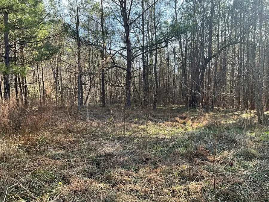 17.4 AC Salem Wood Road, Gloucester, VA 23061 - Image #3