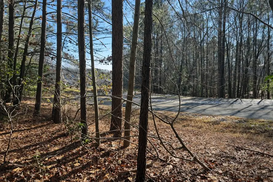 9983 Mill Pond Run, Toano, VA 23168-9638 - Image #2