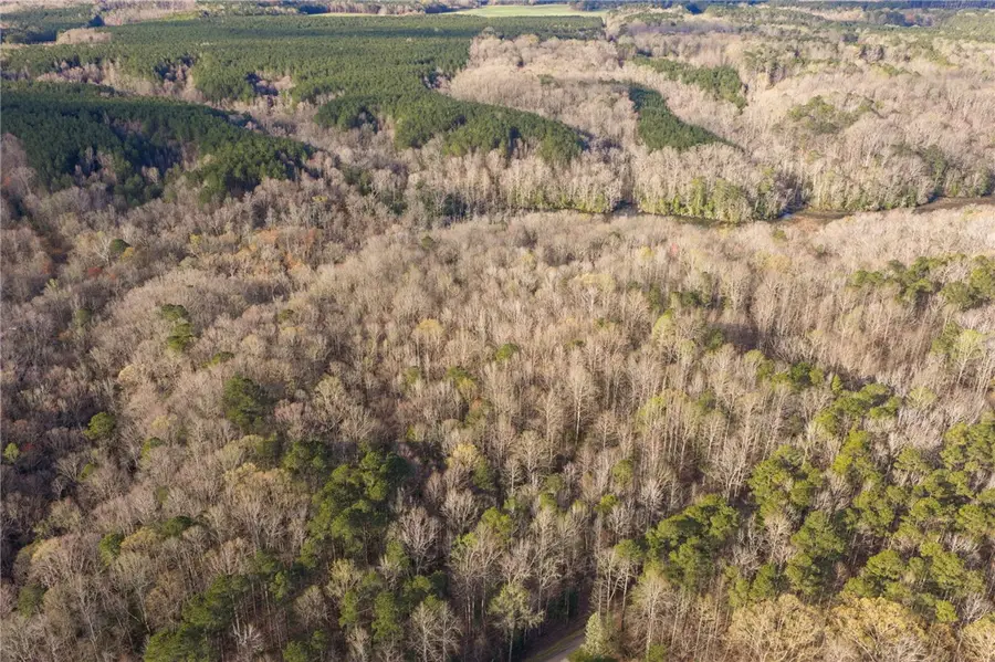 12.73 ac Jusdan Lane, Gloucester, VA 23061 - #3