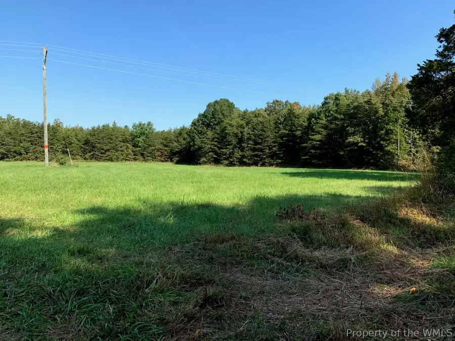 0 W Old Mountain Road, Louisa, VA 23093 - #3