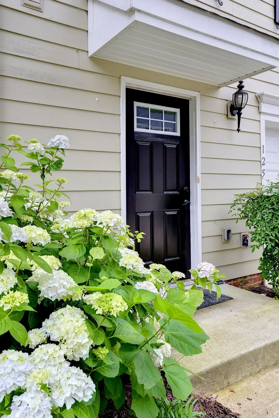 125 Parkway Court, Williamsburg, VA 23185 - #2