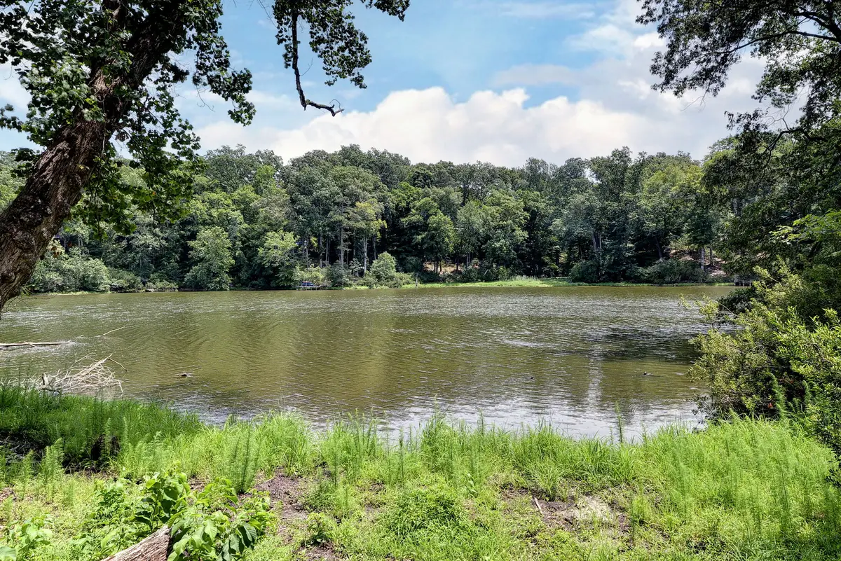169 W Queens Drive, Williamsburg, VA 23185 - #1