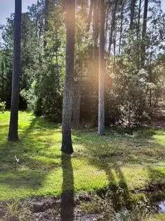 .880ac Lillys Neck Road, Moon, VA 23119 - #1
