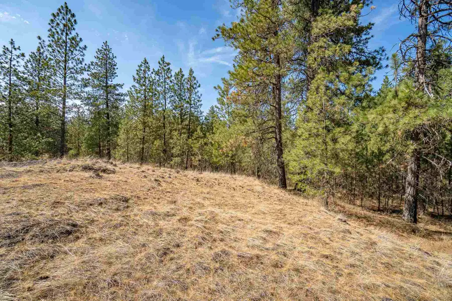 00B N Ritchey Rd, Spokane, WA 99224 - #3