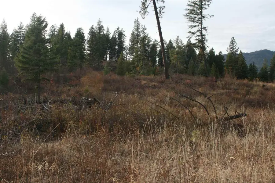 00 Little Sweden Rd, Valley, WA 99181 - Image #3