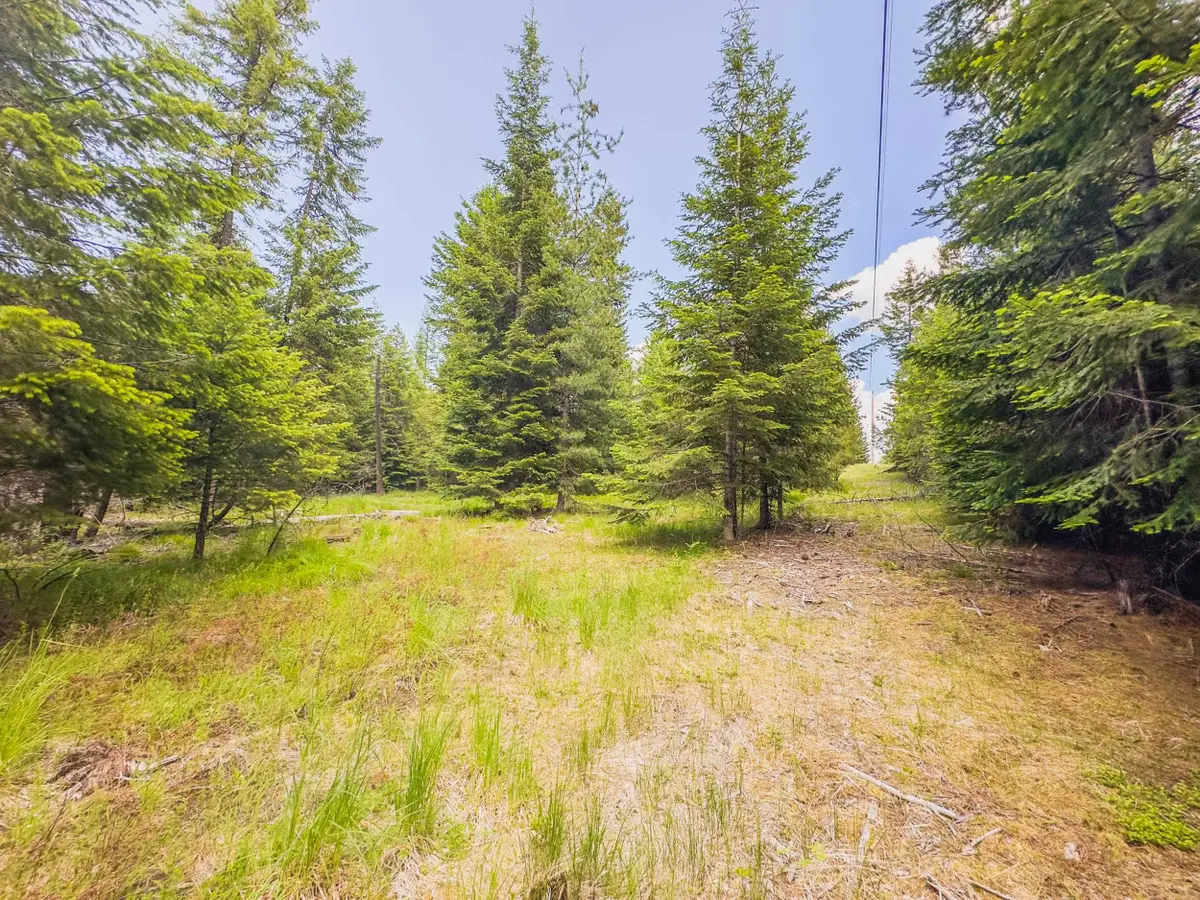 351 Stohr Rd, Newport, WA 99156 - #1