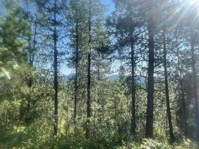 NKN Bead Lake Road Rd, Newport, WA 99156 - #2