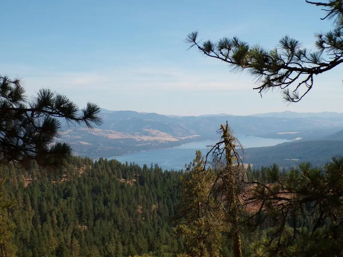 #L Morning Star Ln, Inchelium, WA 99138 - #1