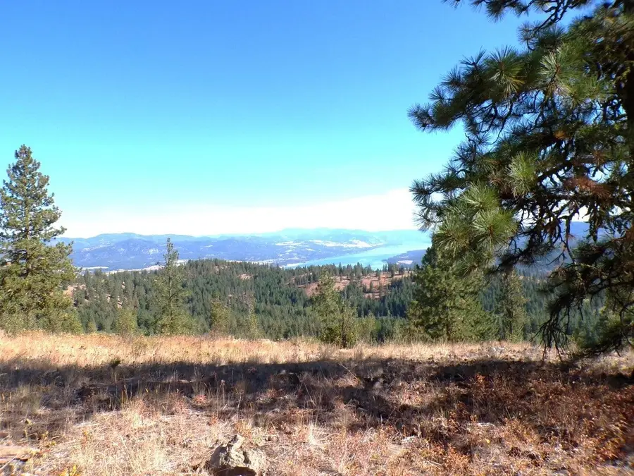 #L Morning Star Ln, Inchelium, WA 99138 - #3