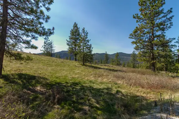 1622 Palmer Loop, Chewelah, WA 99109