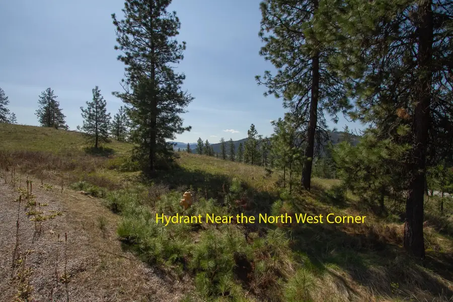 1622 Palmer Loop, Chewelah, WA 99109 - Image #2