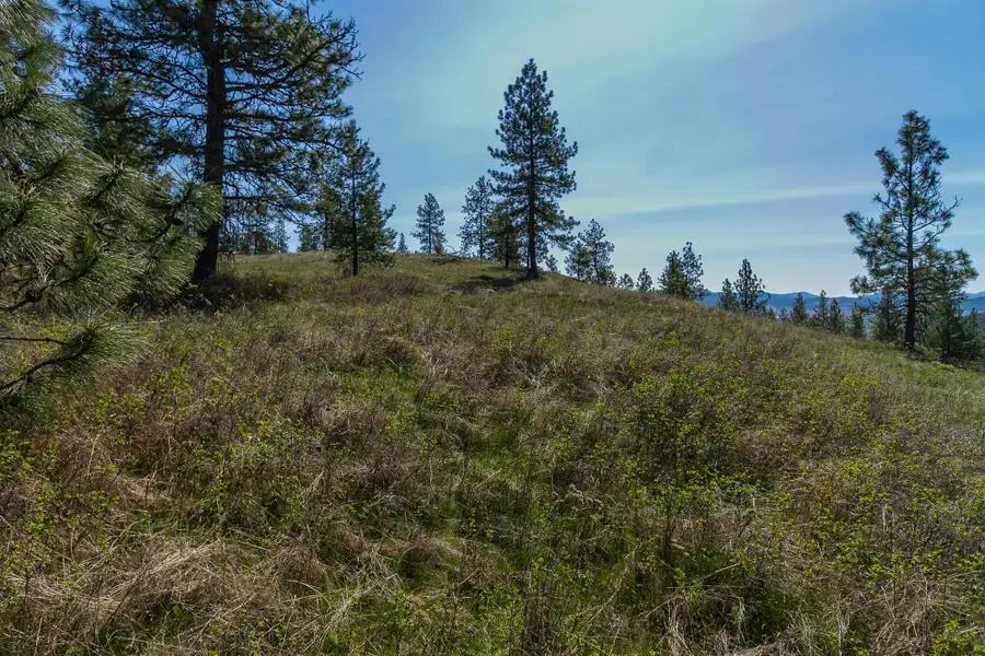 1622 Palmer Loop, Chewelah, WA 99109 - Image #3