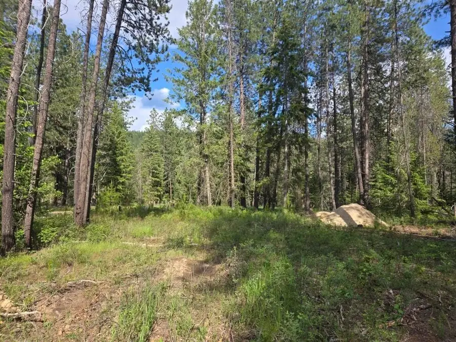 26XX Sand Canyon Lot 2 Rd, Chewelah, WA 99109 - Image #3