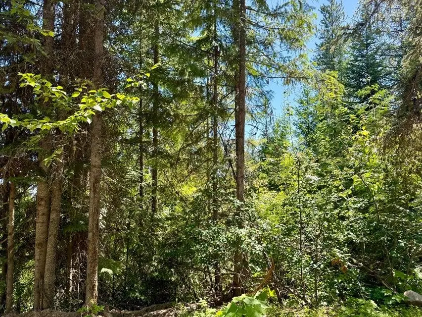 TBD Perelandra Lot 36,37,41 Cir, Other, WA 99121 - #3