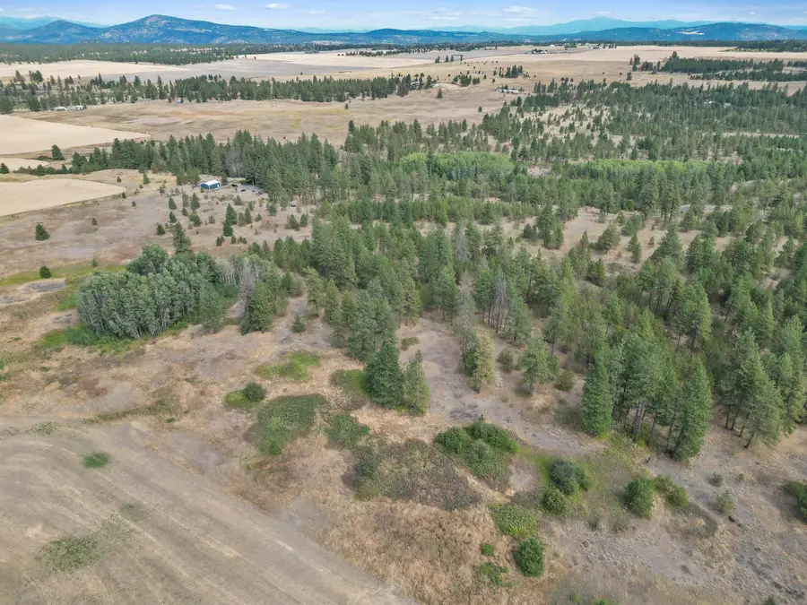 228xx W Four Mound Rd, Nine Mile Falls, WA 99026 - #2