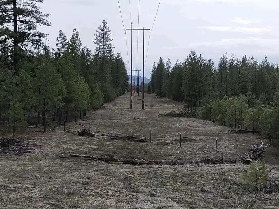 xx Chamokane Falls Rd, Ford, WA 99013 - #2