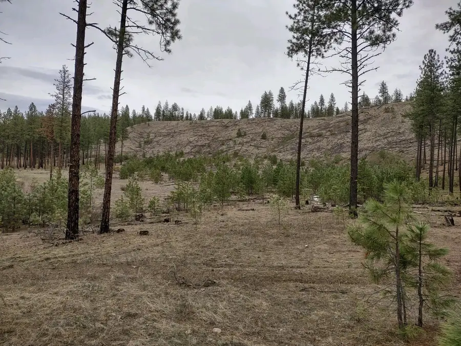 xx Chamokane Falls Rd, Ford, WA 99013 - #3