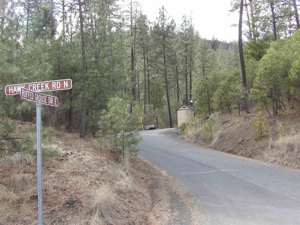 Lot 2 Pine Hen Ln, Davenport, WA 99122 - Image #1