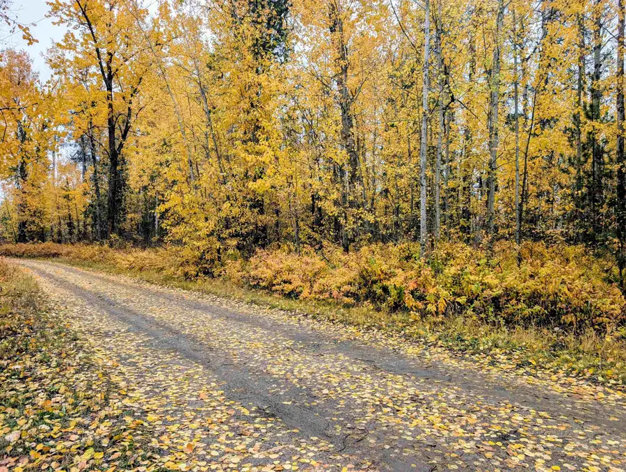 4583 Furzee Rd, Clayton, WA 99110 - Image #2