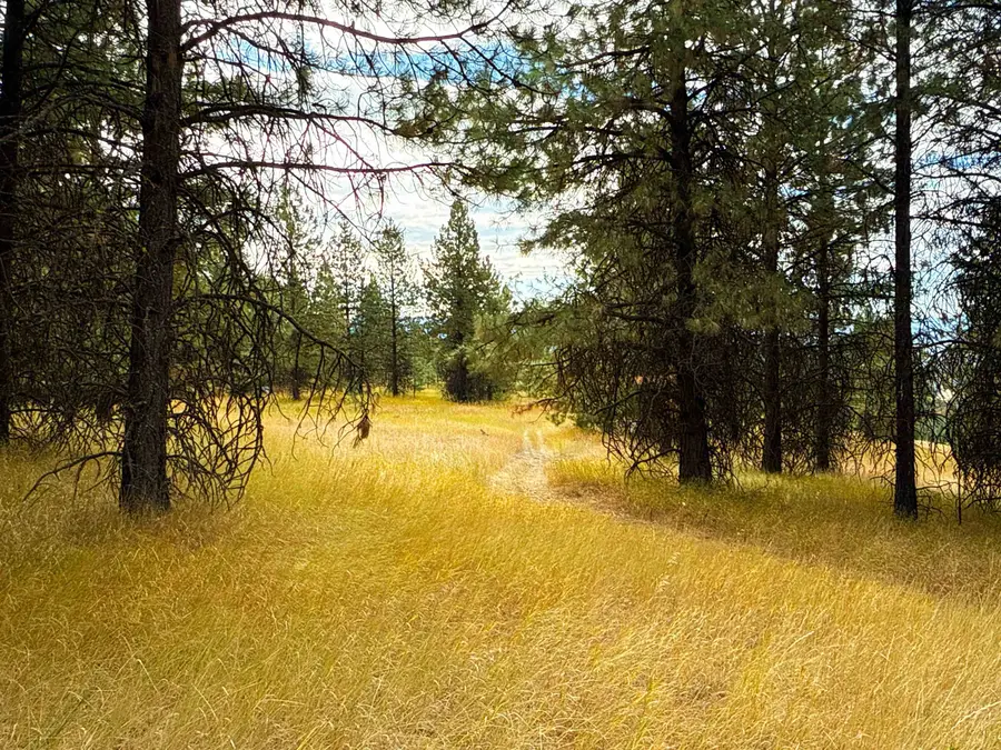 755 Conrad Hill Way, Colville, WA 99114 - Image #3