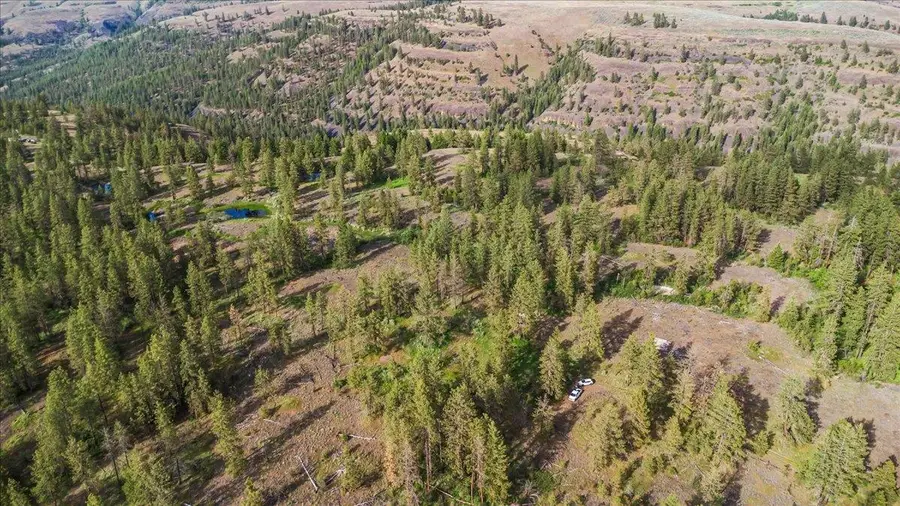 xxx Richardson Ln, Davenport, WA 99122 - Image #3