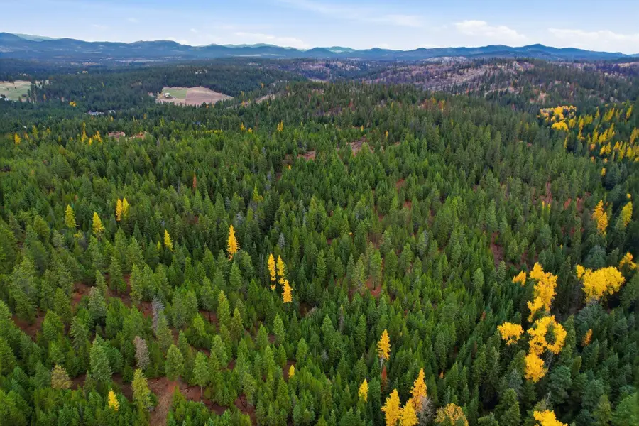 000 Vacant Land, Chattaroy, WA 99003 - Image #2