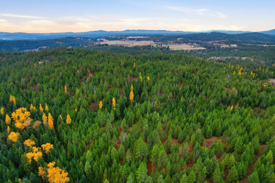 000 Vacant Land, Chattaroy, WA 99003 - Image #3