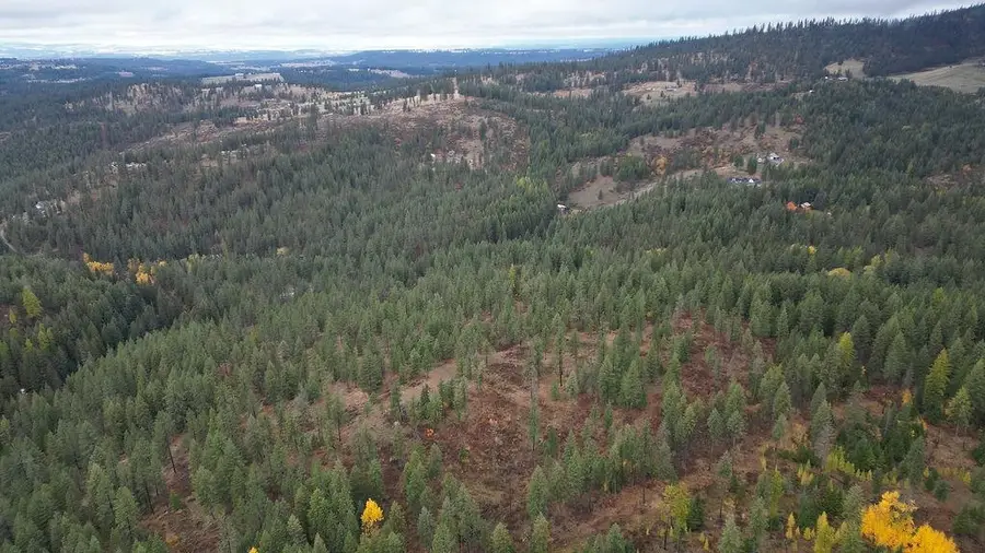 0 N Mt Carlton Apn 47131.9081 Rd, Mead, WA 99021 - Image #2