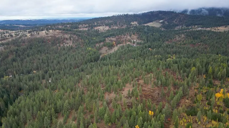 0 N Mt Carlton Apn 47131.9081 Rd, Mead, WA 99021 - Image #3