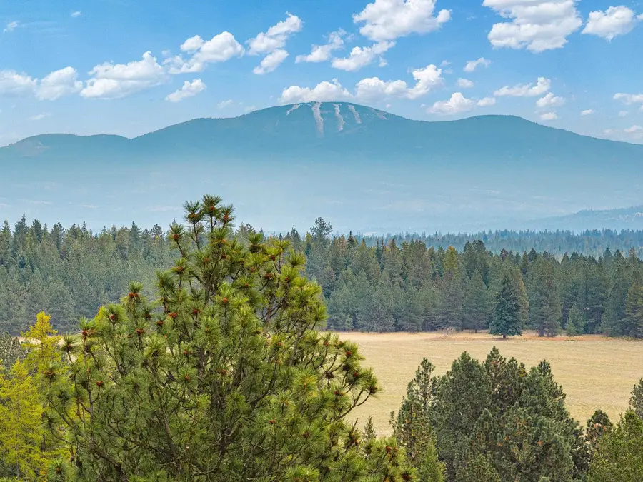 40XX Davis Rd, Deer Park, WA 99006 - Image #2