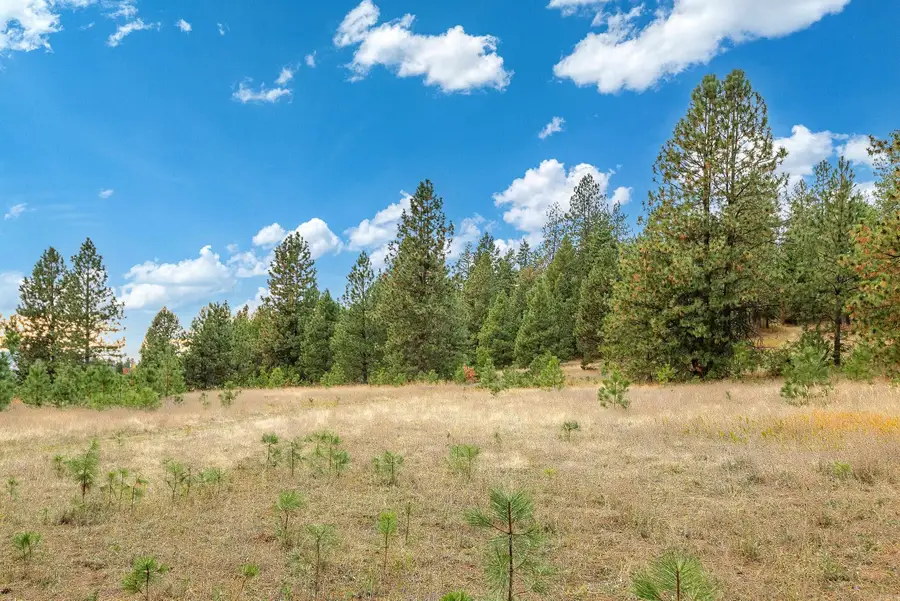 40XX Davis Rd, Deer Park, WA 99006 - Image #3