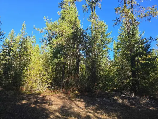 XXX Red Tail Way, Colville, WA 99114-0000