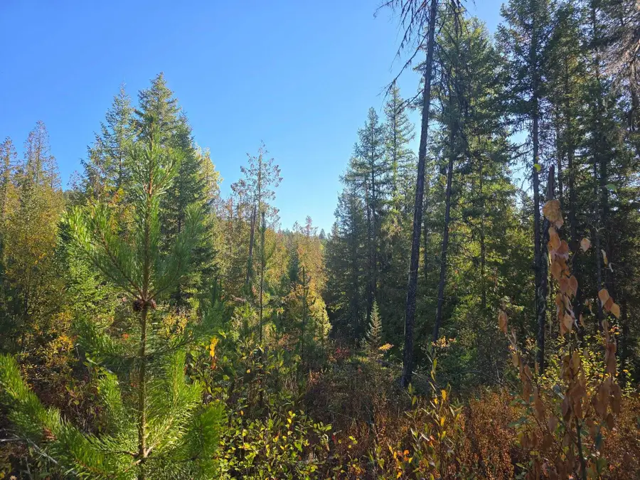 XXX Red Tail Way, Colville, WA 99114-0000 - Image #2