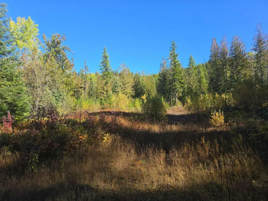 XXX Red Tail Way, Colville, WA 99114-0000 - Image #3