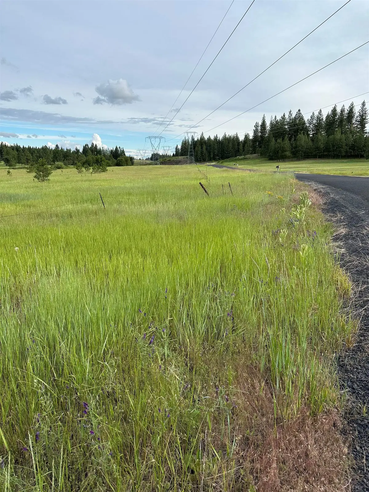 N Whitetail Lane Gg Ln, Chattaroy, WA 99003 - Image #1