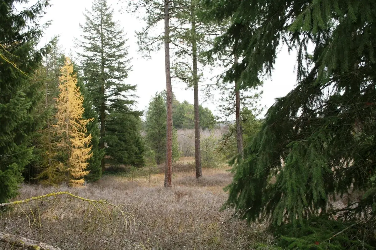 00 Dahl Lot 7 Rd, Deer Park, WA 99006 - Image #1