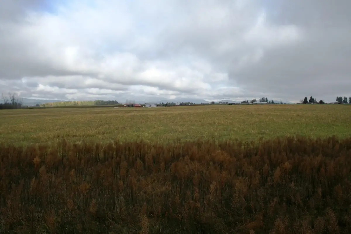 Lot 3 Mule Deer Ln, Deer Park, WA 99006 - Image #1