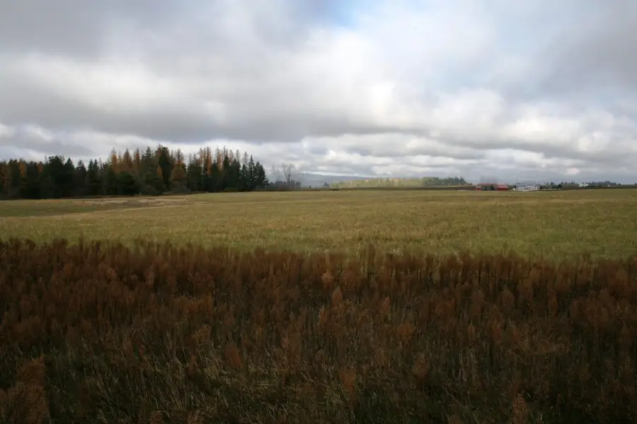 Lot 3 Mule Deer Ln, Deer Park, WA 99006 - Image #2