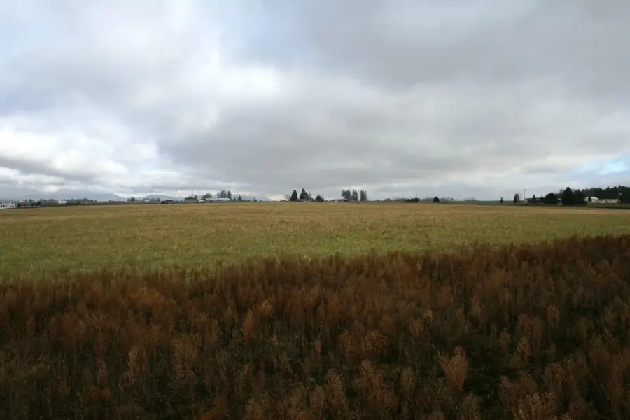 Lot 3 Mule Deer Ln, Deer Park, WA 99006 - Image #3