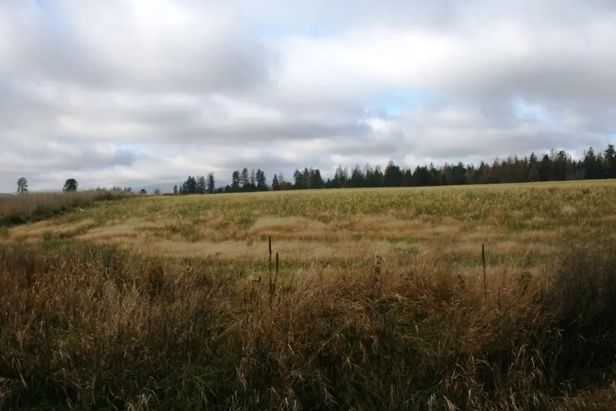 Lot 2 Mule Deer Ln, Deer Park, WA 99006 - Image #2