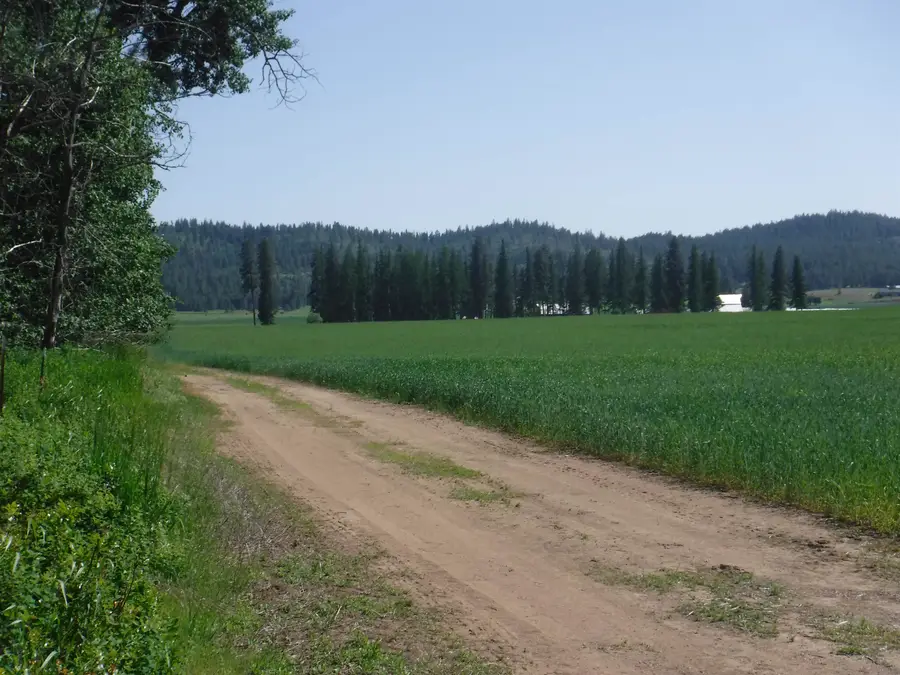 Lot 12 Mule Deer Ln, Deer Park, WA 99006 - Image #3