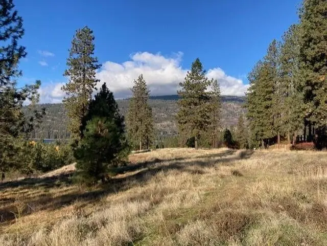 1351 Lake Roosevelt Way, Kettle Falls, WA 99141 - Image #2