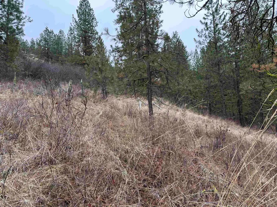 3250 Daisy Mine Rd, Rice, WA 99167 - Image #3